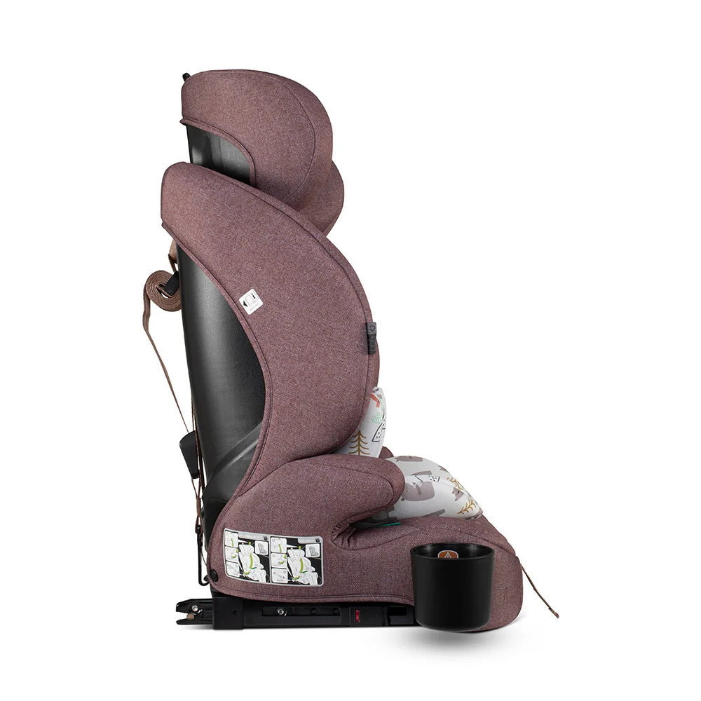 Cosatto Zoomie 3 i-size Bear Hug
