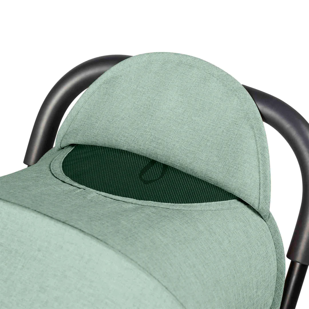 Ickle bubba Aries prime - Sage