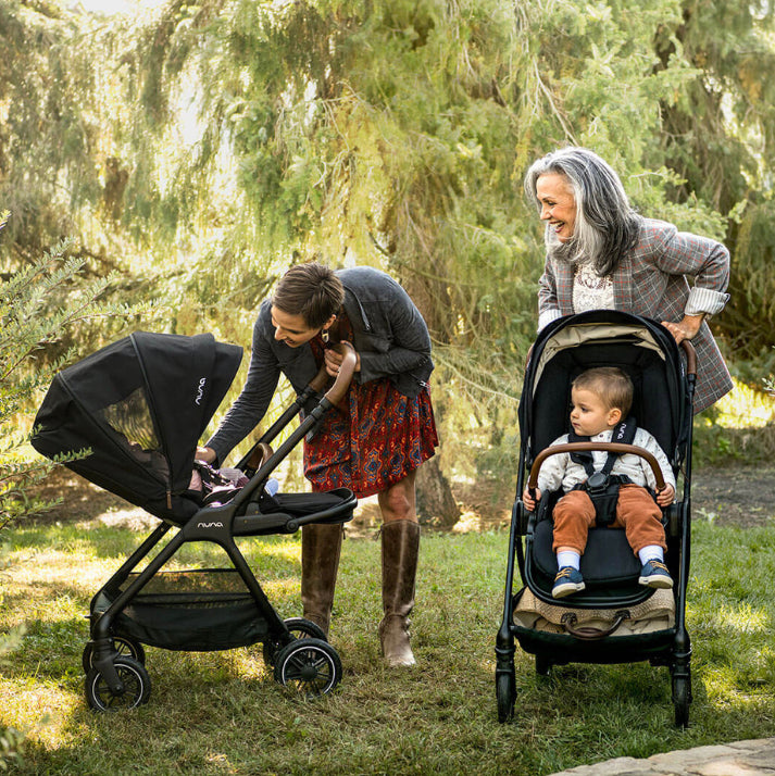 Nuna Triv Next Stroller and Lytl Folding Carrycot - Caviar